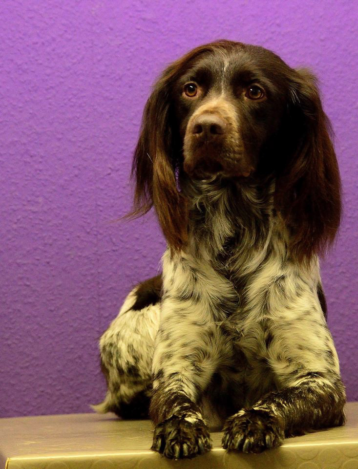 %_tempFileNameBarcas%