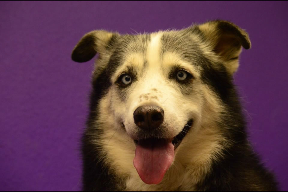 %_tempFileNameBella%