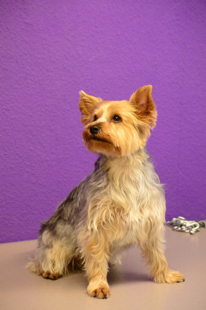 %_tempFileNameBiene%