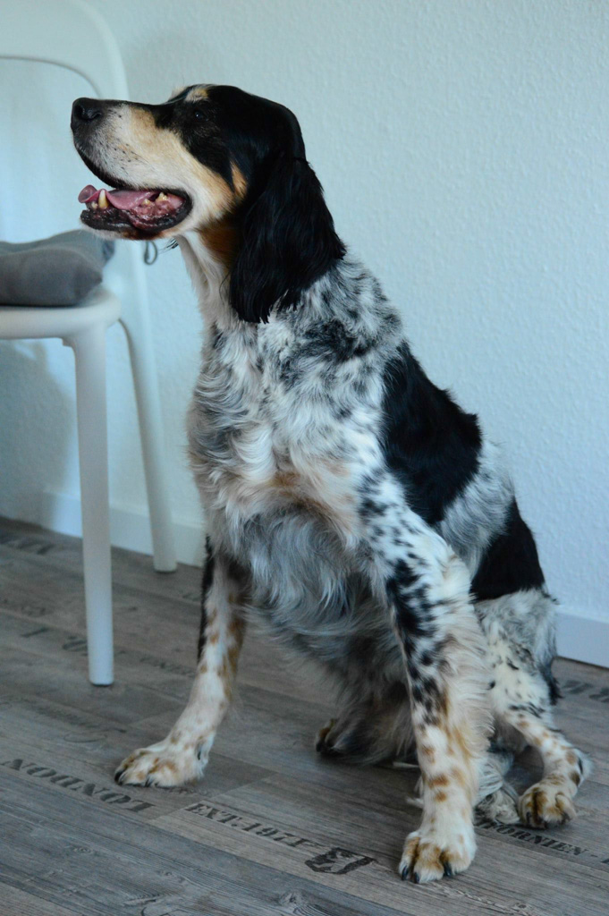 %_tempFileNameBoonie%