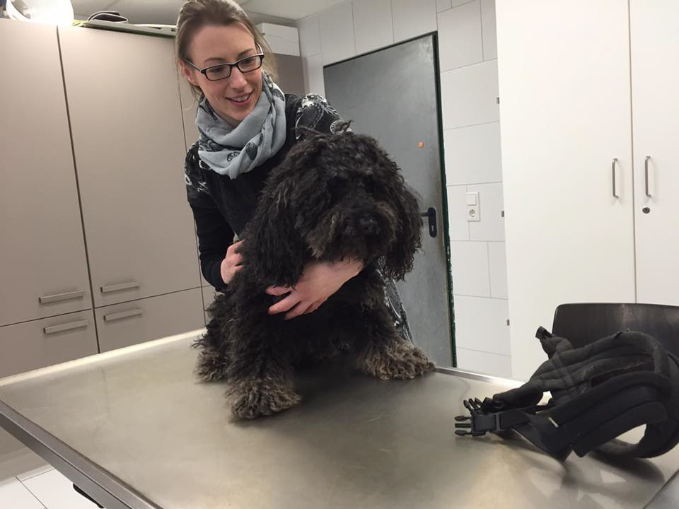 %_tempFileNameChaplin_TH1%