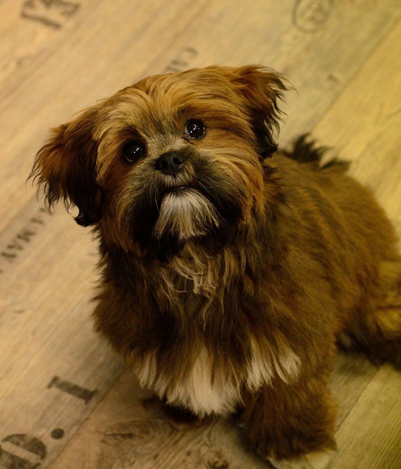 %_tempFileNameEmely%