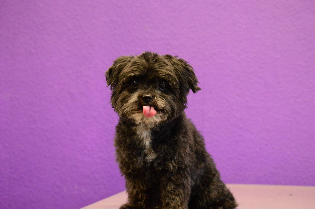 %_tempFileNameFelix%