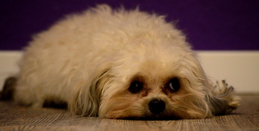 %_tempFileNameHolly%