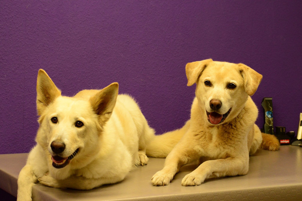 %_tempFileNameJuli+Sam%