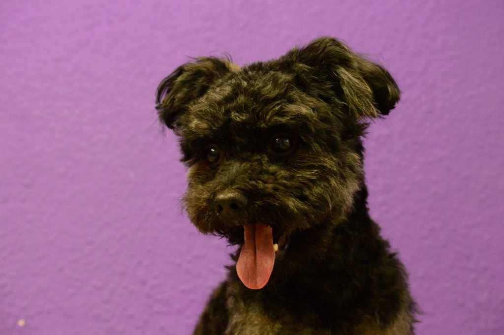 %_tempFileNameKalle%