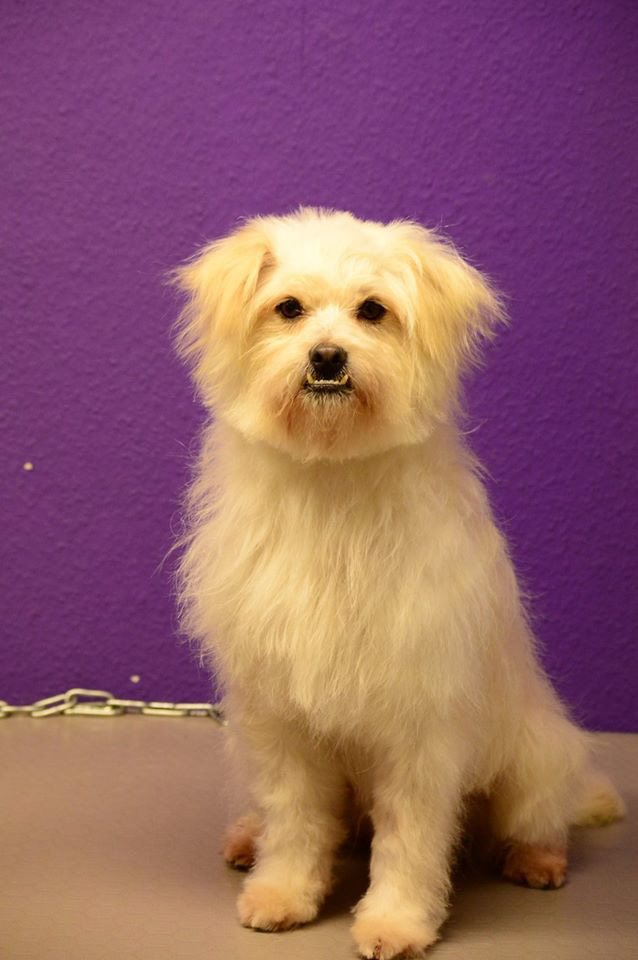 %_tempFileNameMilo2%