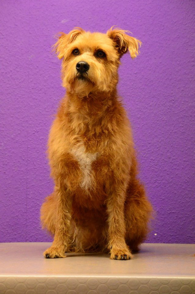 %_tempFileNameNala2%