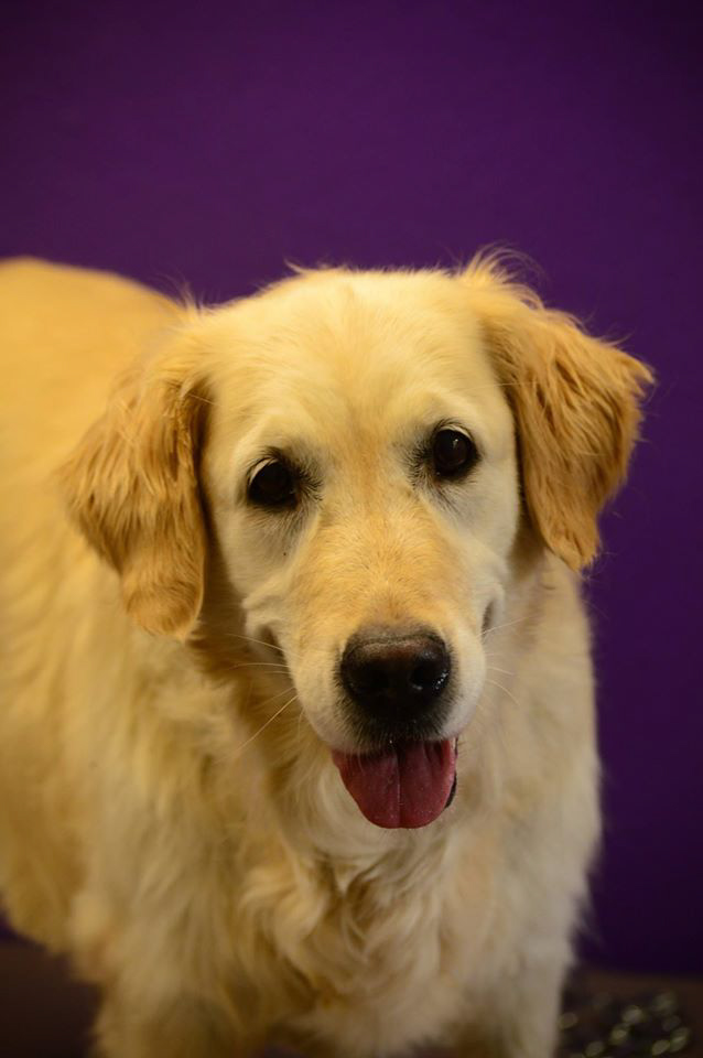 %_tempFileNameNelly%