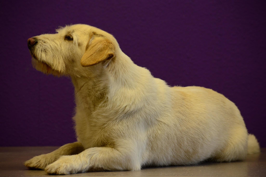 %_tempFileNameNorbert%