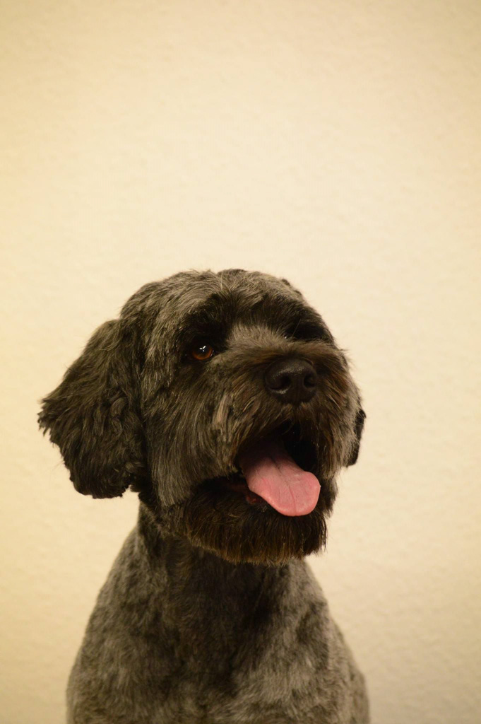 %_tempFileNameOskar%