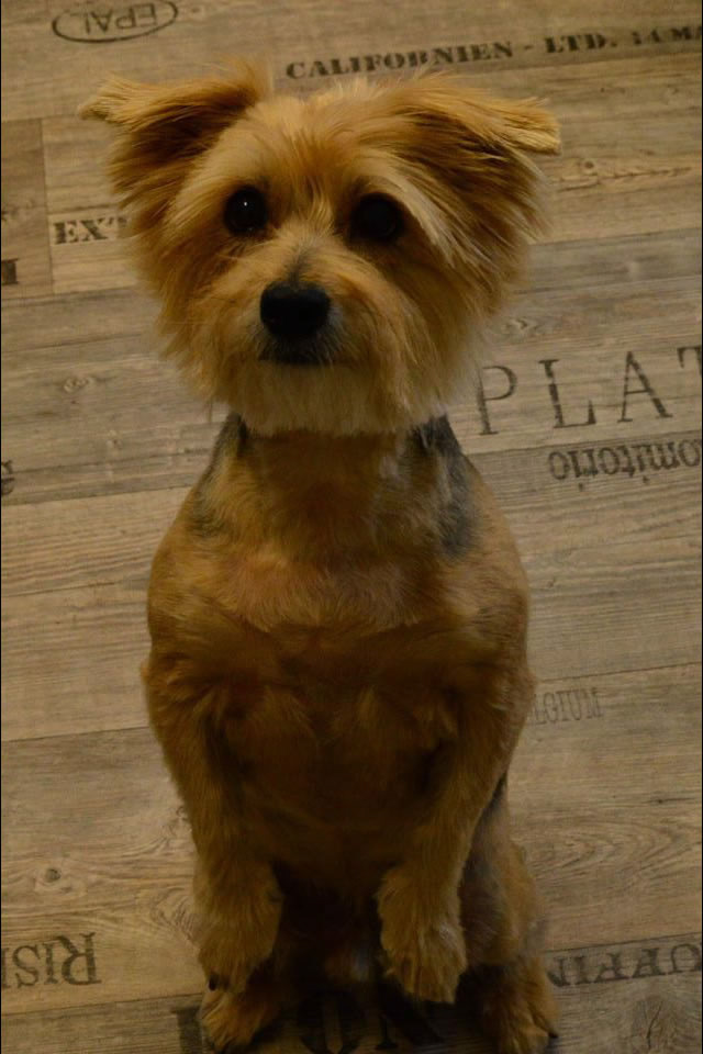 %_tempFileNamePrinz%