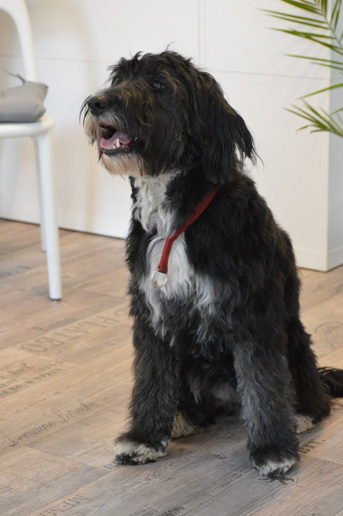 %_tempFileNamePuenktchen%