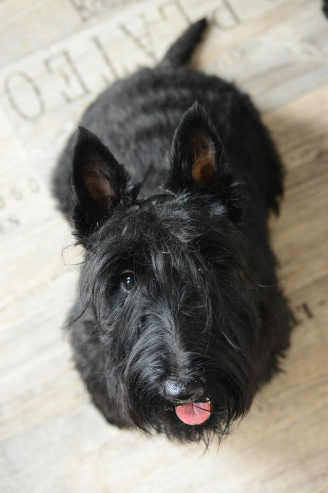 %_tempFileNameSeaBee%