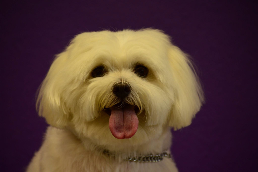 %_tempFileNameTeddy%