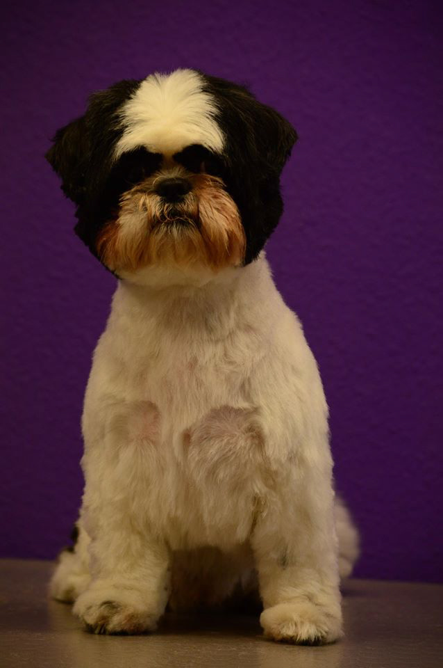 %_tempFileNameVerdell%